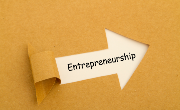 Entrepreneurship from Your Own Space